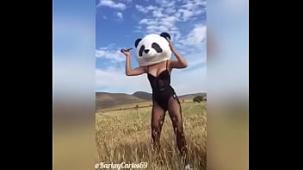 En el campo putita panda