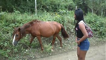 Horse porn